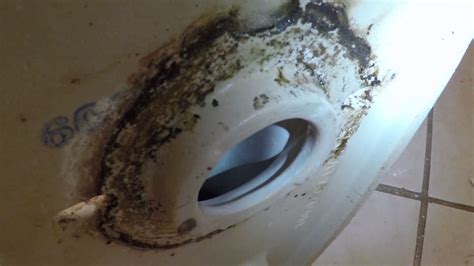 bathtub overflow leaking through ceiling|Bathtub Leaking Through Ceiling: How to Fix a Leaky。